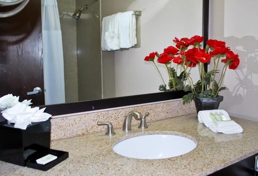 Hotel Wyndham Garden Lafayette  | Lafayette | Louisiana | United States 10