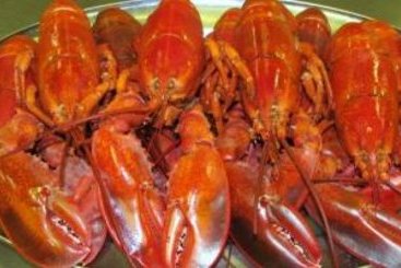 Hotel Best Western Inn at Hunt's Landing Matamoras