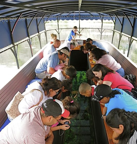 Hotel Best Western San Marcos San Marcos