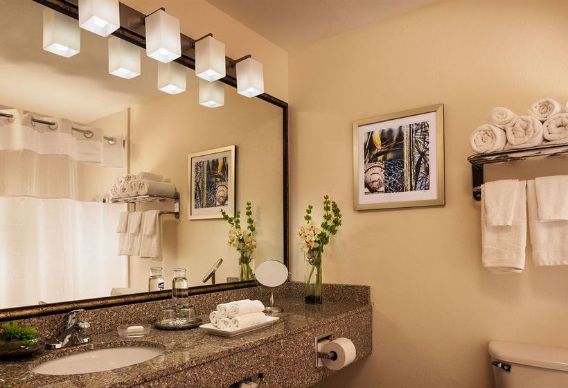 Hotel Best Western Plus Inn & Suites  | Lewisville | Texas | United States 13