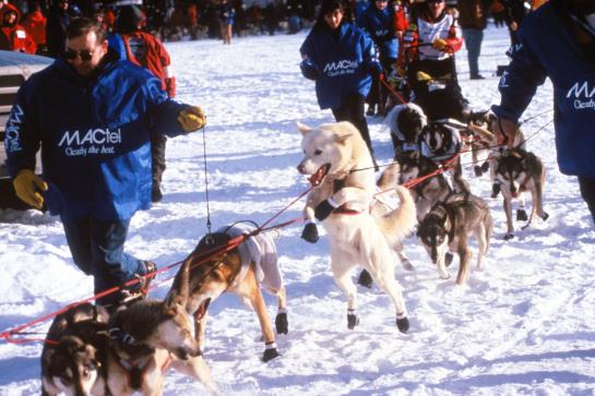 Hotel Best Western Lake Lucille Inn  | Wasilla | Alaska | United States 16