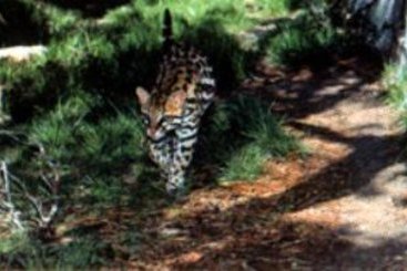 Hôtel Best Western Smithfield Inn  | Cleburne | Texas | Hôtels aux États-Unis 2