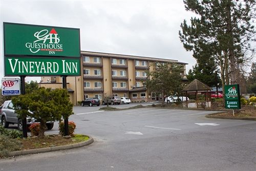 Best Western Vineyard Inn Motel 