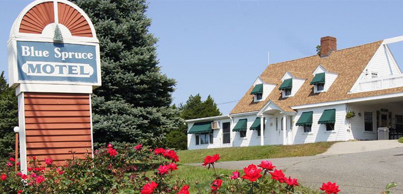 Blue Spruce Motel  | Plymouth | Massachusetts | United States 2