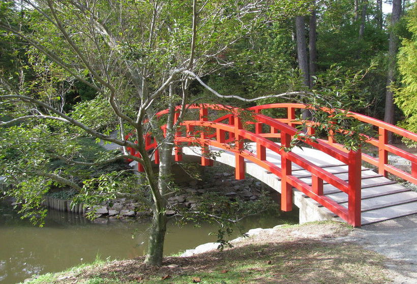 Hotel Brookwood Inn Duke  | Durham | North Carolina | United States 16