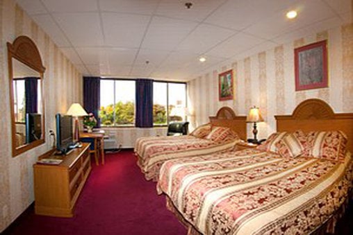 Amsterdam Hotel  | Stamford | Connecticut | United States 3