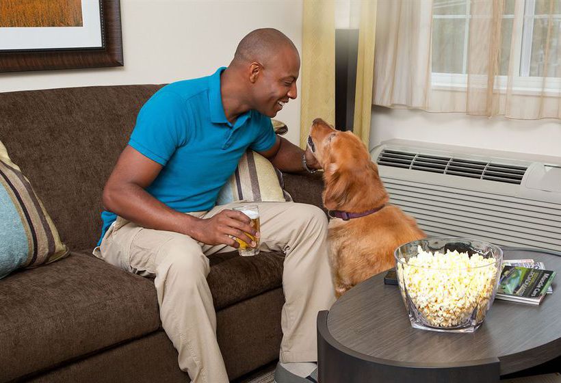 Hotel Candlewood Suites Detroit  | Warren | Michigan | Estados Unidos 3