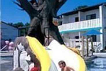 Hotel Carousel Inn & Suites  | Wisconsin Dells | Wisconsin | United States 15