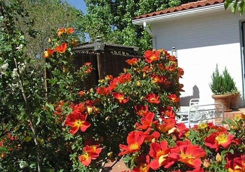 Hotel Casa Blanca  | Farmington | New Mexico | United States 7