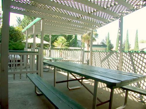 Motel Cedarwood Inn  | Ashland | Oregon | United States 1