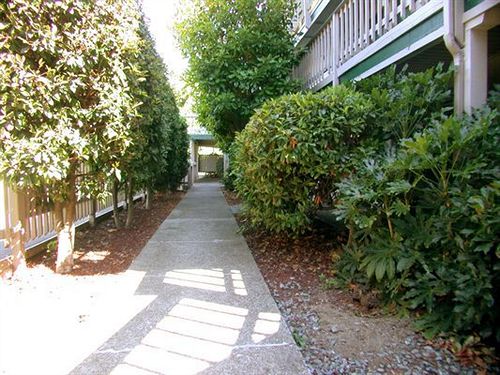 Motel Cedarwood Inn  | Ashland | Oregon | United States 11