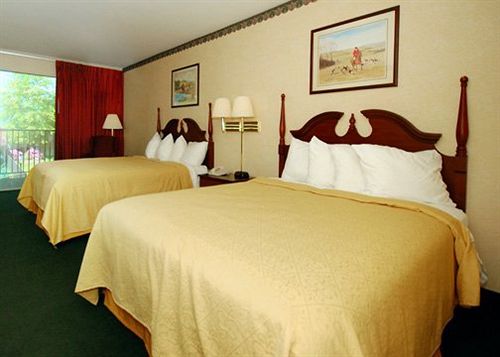 Hotel Quality Inn & Suites  | Burnham | Pennsylvania | United States 4