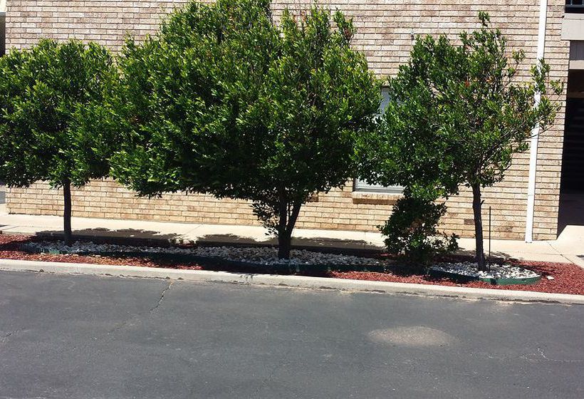 Hotel Best Western Clovis Inn & Suites  | Clovis | New Mexico | Estados Unidos 1