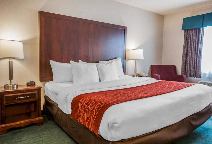 Hotel Comfort Inn Auburn -  Federal Way  | Auburn | Washington | United States 10