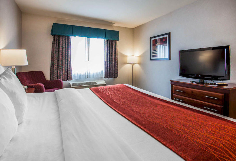 Hotel Comfort Inn Auburn -  Federal Way  | Auburn | Washington | United States 11