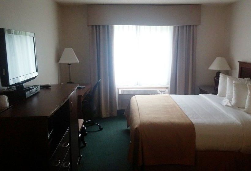 Hotel Quality Inn & Suites Steamboat  | Steamboat Springs | Colorado | United States 3