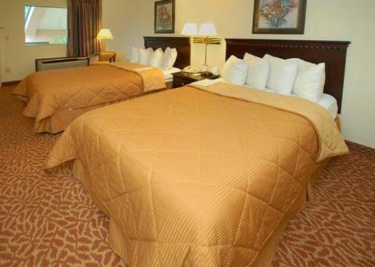 Hotel Comfort Inn  | Mccomb | Mississippi | United States 1