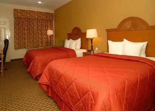 Hotel Comfort Inn Bossier City  | Bossier City | Louisiana | United States 5