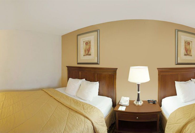 Hotel Comfort Inn Dawsonville  | Dawsonville | Georgia | United States 10