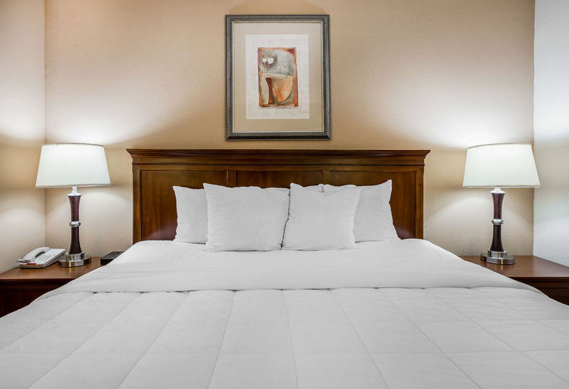 Hotel Comfort Inn Dawsonville  | Dawsonville | Georgia | United States 15