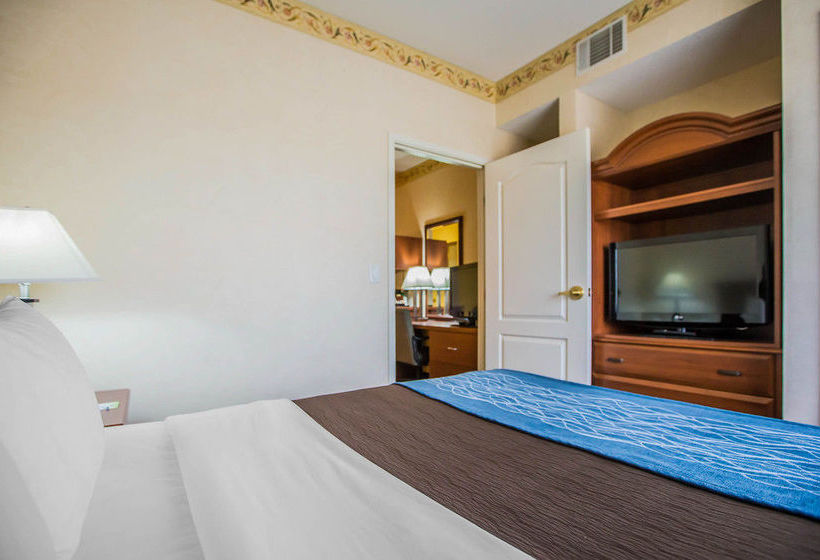 Hotel Comfort Inn  | Dixon | Illinois | United States 11