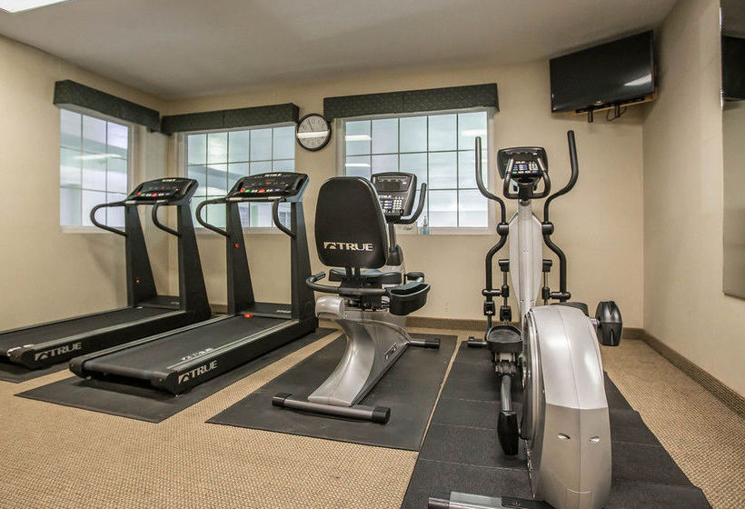 Hotel Comfort Inn  | Dixon | Illinois | United States 13