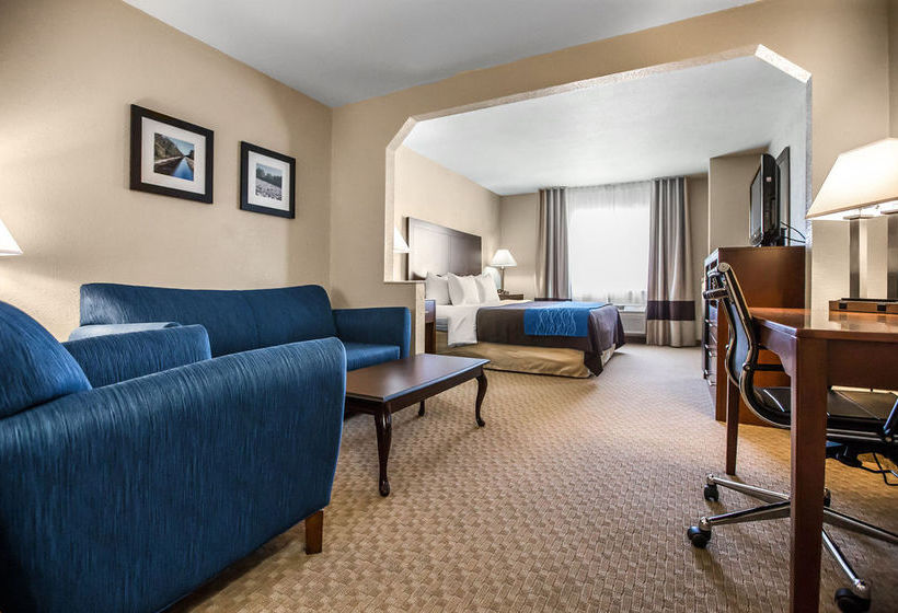 Hotel Comfort Inn  | Dixon | Illinois | United States 19