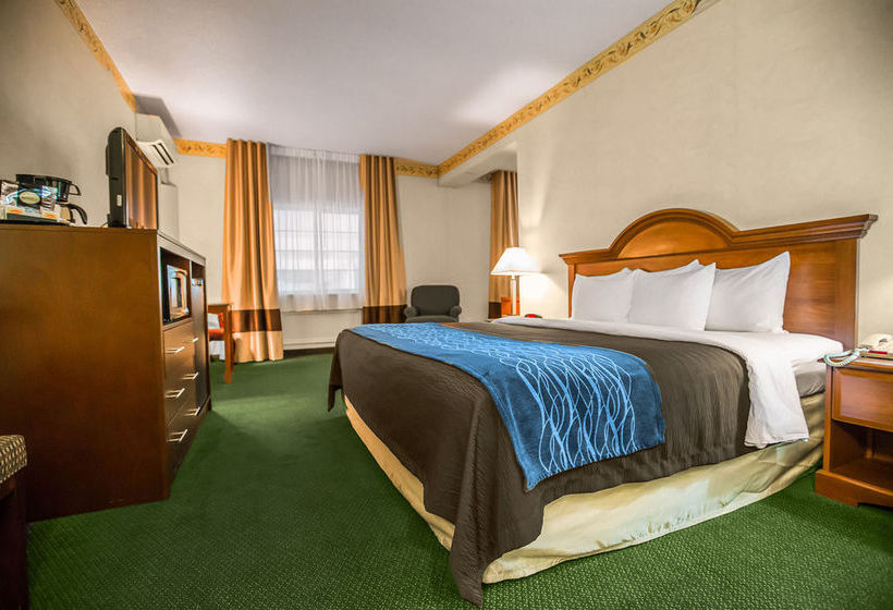 Hotel Comfort Inn  | Dixon | Illinois | United States 4