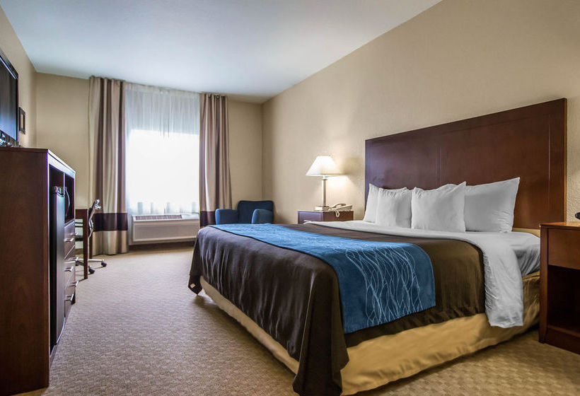 Hotel Comfort Inn  | Dixon | Illinois | United States 5