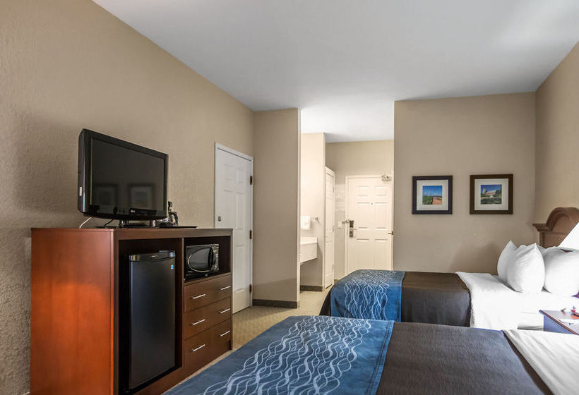 Hotel Comfort Inn  | Dixon | Illinois | United States 6