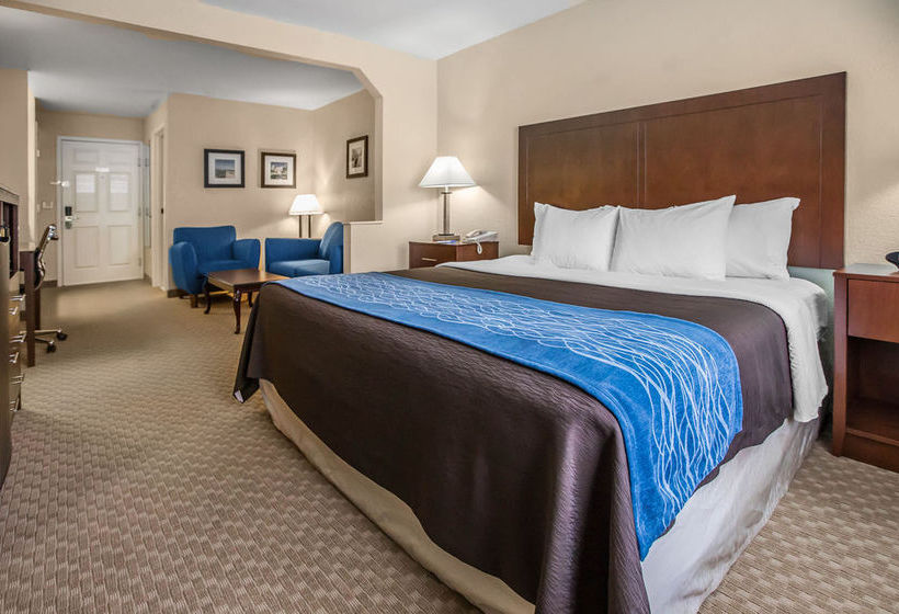 Hotel Comfort Inn  | Dixon | Illinois | United States 8