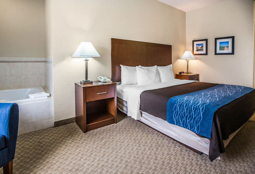 Hotel Comfort Inn  | Dixon | Illinois | United States 9