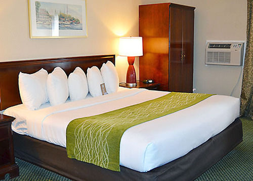 Hotel Comfort Inn Cape Cod  | Hyannis | Massachusetts | United States 11