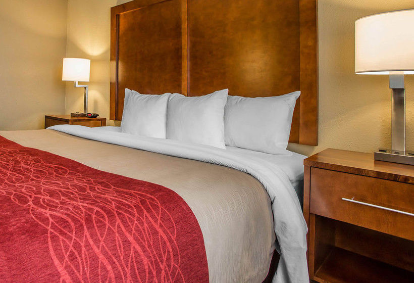 Hotel Comfort Inn  | Rhinelander | Wisconsin | United States 12