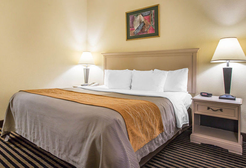 Hotel Comfort Inn North Myrtle Beach  | North Myrtle Beach | South Carolina | United States 15