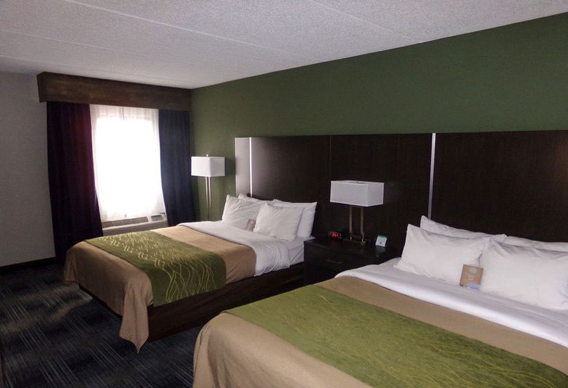 Hotel Comfort Inn Cleveland Airport  | Middleburg Heights | Ohio | Hotel negli Stati Uniti 8