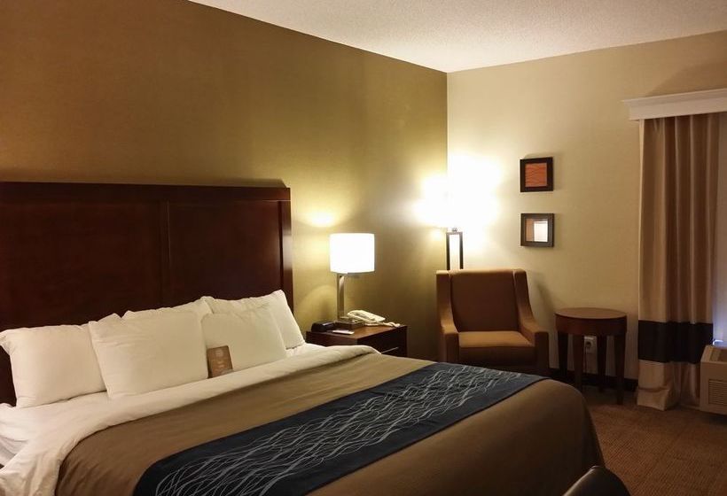 Hotel Comfort Inn 
