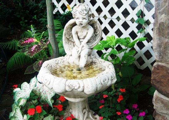 Hotel Comfort Inn Eureka Springs  | Eureka Springs | Arkansas | United States 6