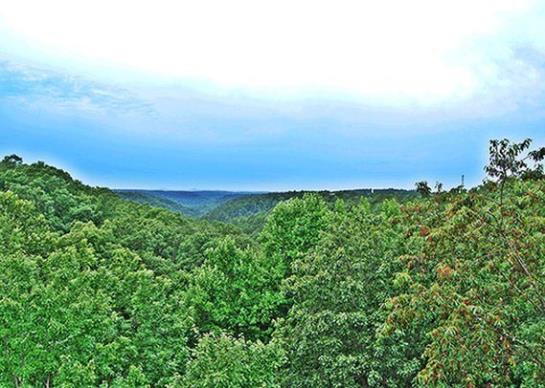 Hotel Comfort Inn Eureka Springs  | Eureka Springs | Arkansas | United States 8