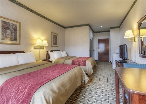 Hotel Comfort Inn Evansville  | Evansville | Indiana | United States 10