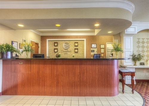 Hotel Comfort Inn Evansville  | Evansville | Indiana | United States 12
