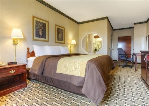 Hotel Comfort Inn Evansville  | Evansville | Indiana | United States 4