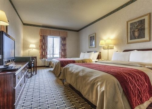 Hotel Comfort Inn Evansville  | Evansville | Indiana | United States 5