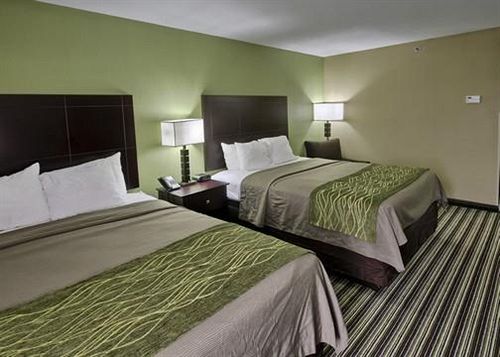 Hotel Comfort Inn Alexandria  | Alexandria | Louisiana | United States 5