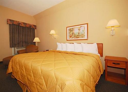 Hotel Comfort Inn  | Mission | Texas | United States 16