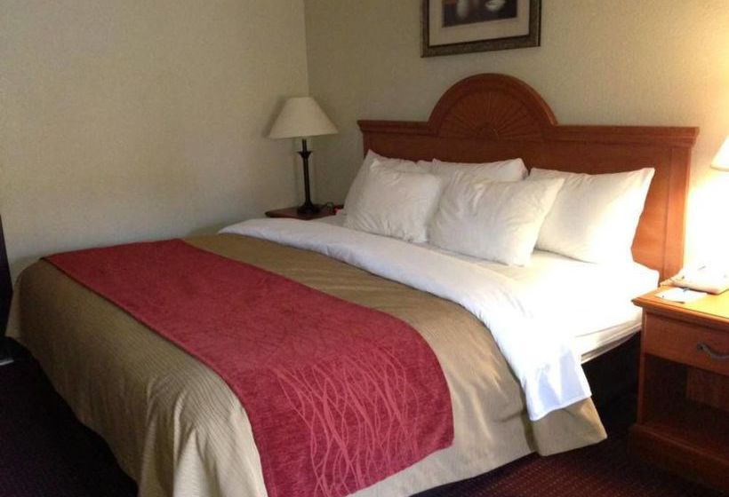 Hotel Comfort Inn 