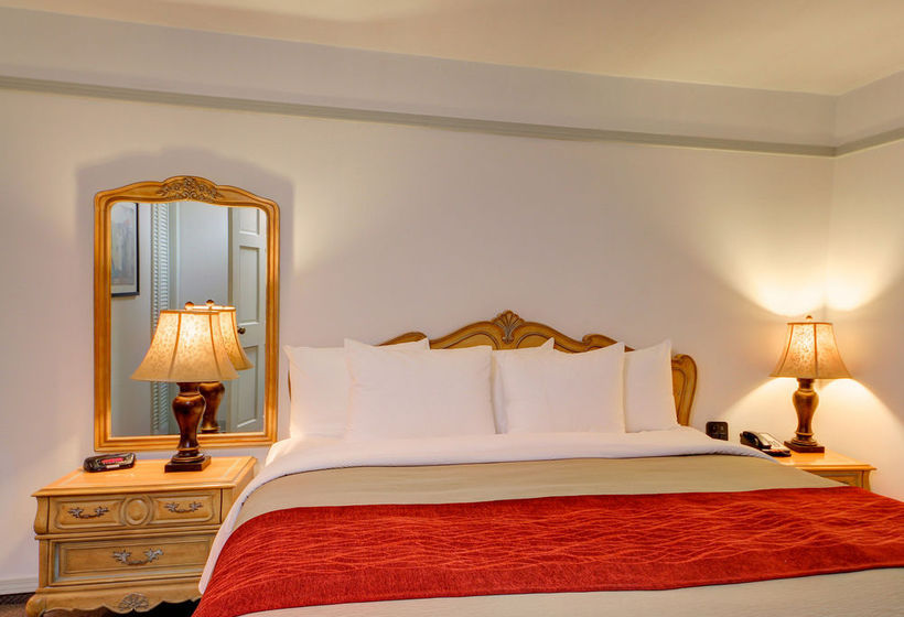 Hotel Comfort Inn  | Enid | Oklahoma | United States 4