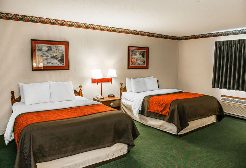 Hotel Comfort Inn  | Lebanon | Indiana | United States 15