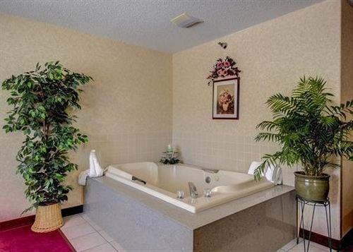 Hotel Econo Lodge Montrose   | Montrose | Colorado | United States 4
