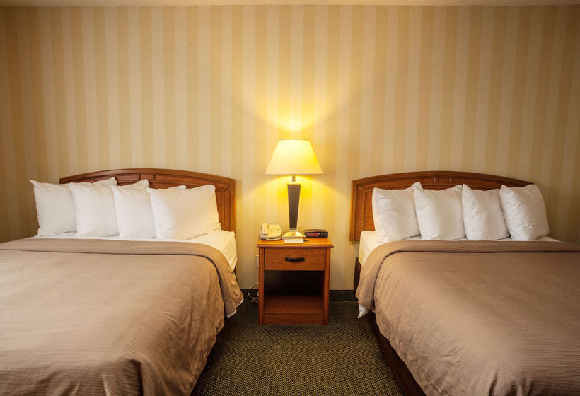 Hotel Comfort Inn Airport Colorado Springs  | Colorado Springs | Colorado | United States 4